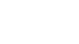 Boss Boss